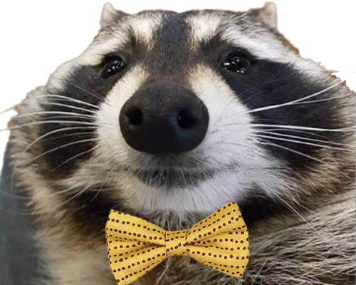 bob's avatar